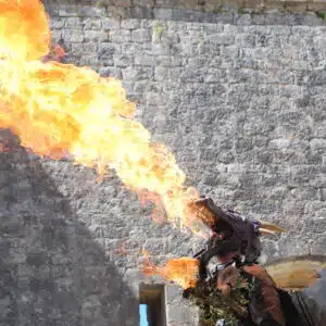 le dragon echassier cracheur de feu